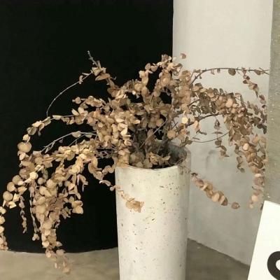 Furry插画元素技巧福瑞群